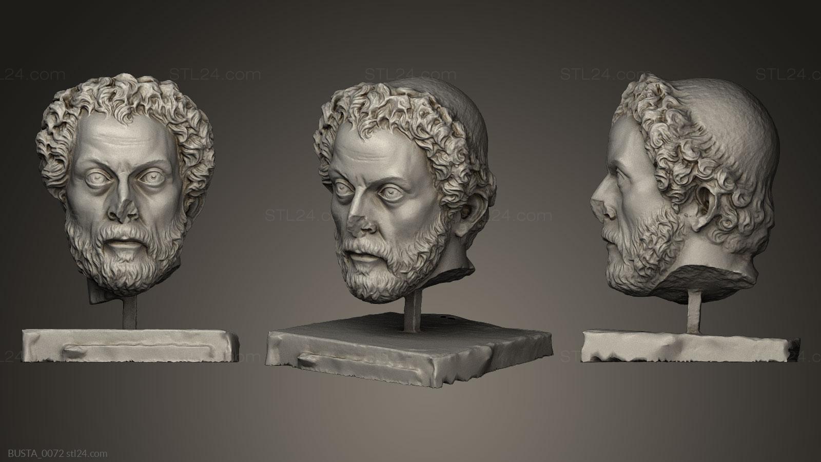 Бюсты и головы античные и исторические (Имперский слуга, BUSTA_0072) 3D модель для ЧПУ станка